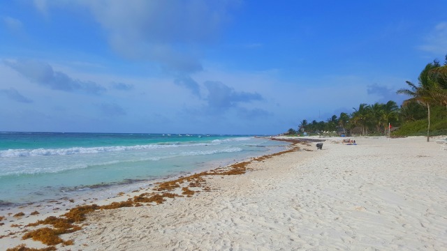 Caribe Maya