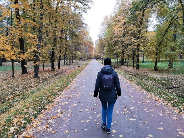 Parque inferior en Peterhof