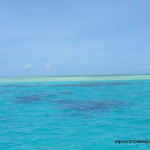 Gran Barrera de Coral desde Cairns