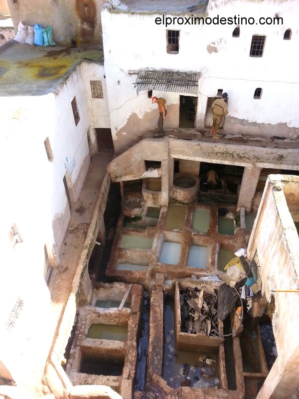Curtiduría Chouwara