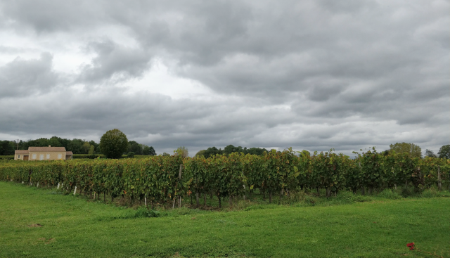 Visitar viñedos en Francia, Bergerac