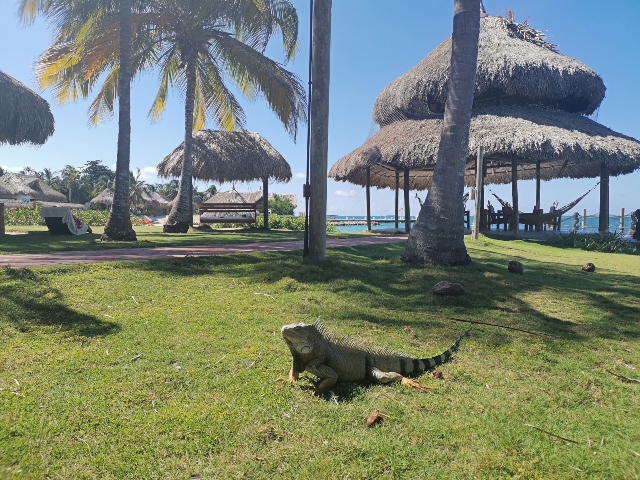 mejor hotel de Isla Múcura