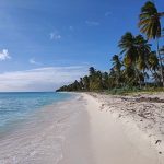 Isla Saona, la mejor excursión desde Punta Cana