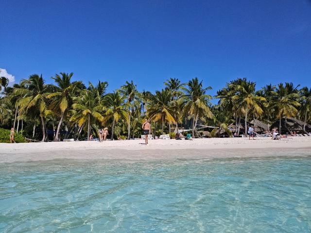 Isla saona la mejor excursion en la republica dominicana 