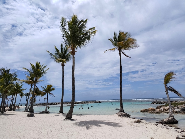 mejores playas de guadalupe