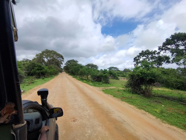 mejor safari en sri lanka, que ver en sri lanka, seguro de viaje en sri lanka 