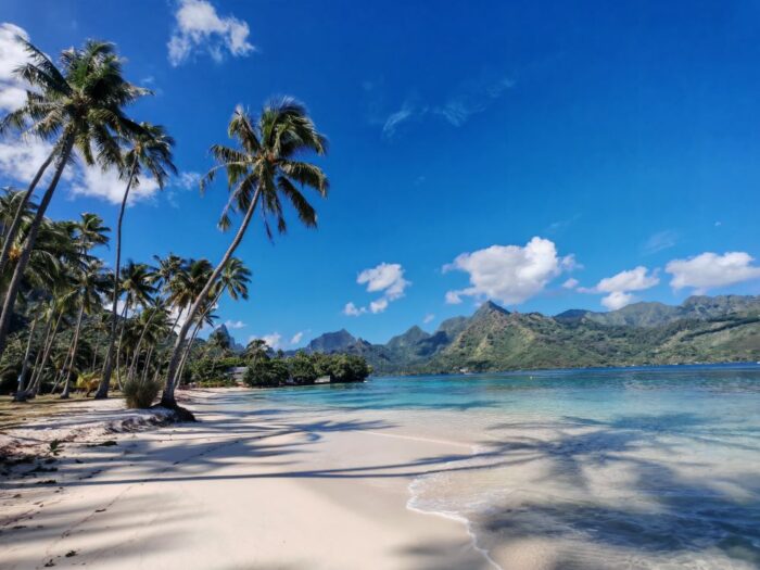 que ver en moorea
