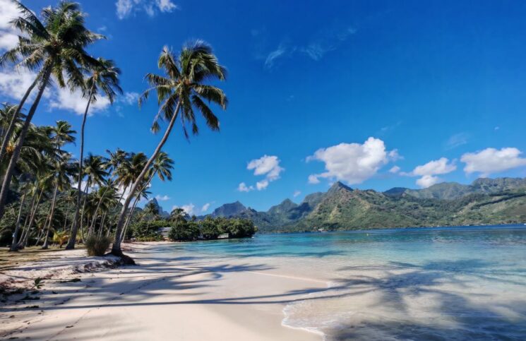 que ver en moorea