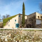 Nadal entre vinyes: una experiencia familiar en los viñedos de Familia Torres