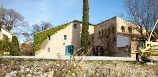 Nadal entre vinyes: una experiencia familiar en los viñedos de Familia Torres enoturismo catalunya