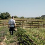 Enoturismo cerca de Barcelona en 2025: una escapada con alma verde