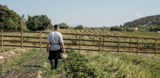 enoturismo cerca de barcelona