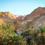 Túnez se proyecta como destino clave del Mediterráneo con la mirada puesta en 2027