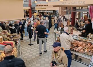 que ver en gotemburgo