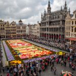Bruselas: la Alfombra de Flores 2026